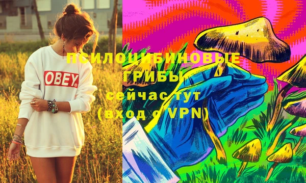 спиды Лабытнанги