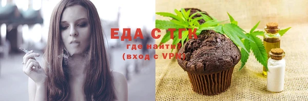 индика Осташков