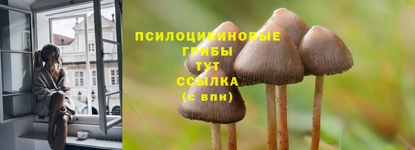 тгк Абдулино