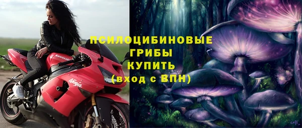 сатива Ладушкин