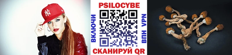 Галлюциногенные грибы прущие грибы  цена наркотик  Прокопьевск 